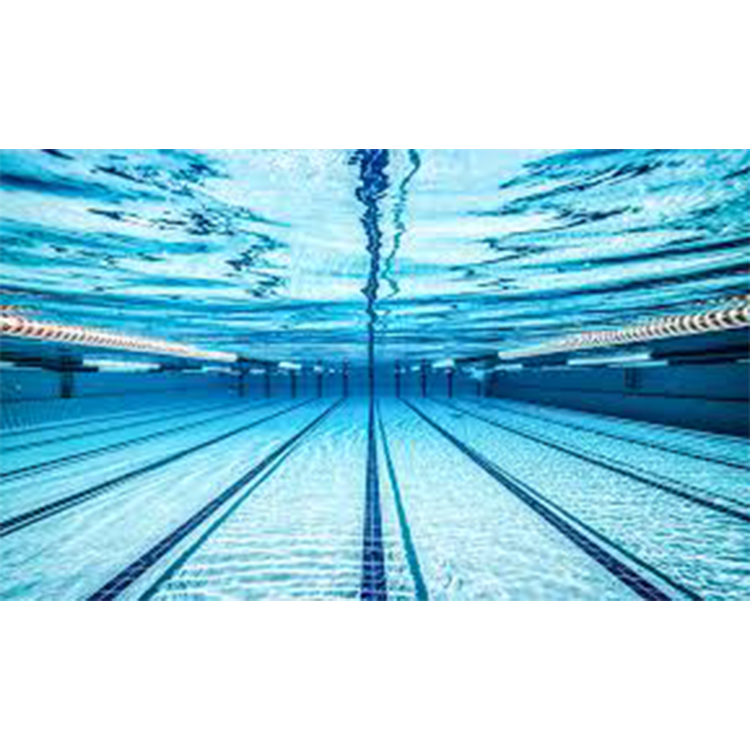 Réalisation piscine approximatif  